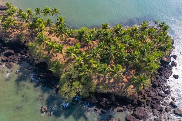 Letecký Pohled Shora Tropickou Pláž Zelenými Palmami Pod Slunečním Světlem — Stock fotografie