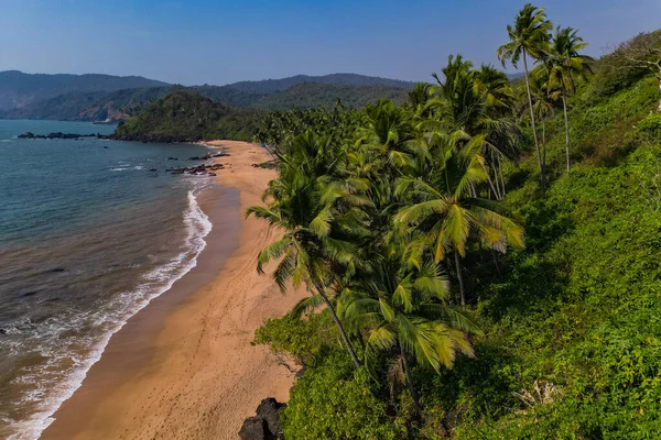 Vista Aerea Dall Alto Sulla Spiaggia Tropicale Con Palme Verdi — Foto Stock