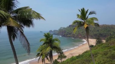 Güneş ışığı altında yeşil palmiye ağaçları olan tropikal sahilde hava manzaralı Drone manzaralı..