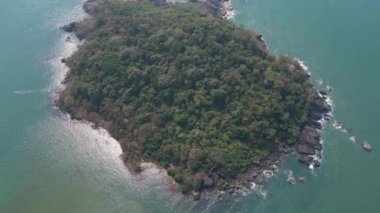 Güneş ışığı altında yeşil palmiye ağaçları olan tropikal sahilde hava manzaralı Drone manzaralı..