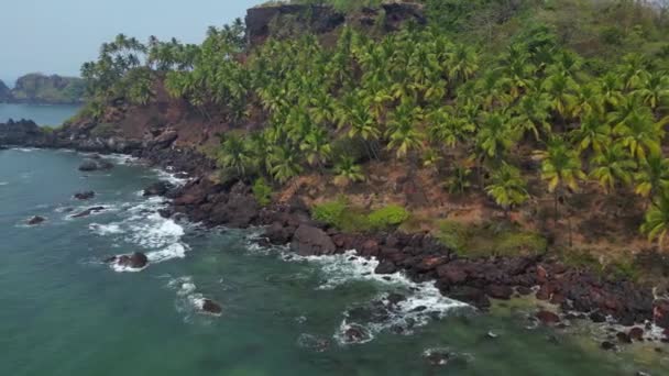 Вид Сверху Воздуха Тропический Пляж Зелеными Пальмами Солнечным Светом — стоковое видео