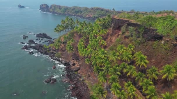 Вид Зверху Тропічний Пляж Зеленими Пальмами Під Сонячним Світлом Вид — стокове відео