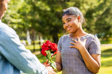 Güneşli bir günde yaz parkında romantik piknikte gülümseyen Afrikalı çift..