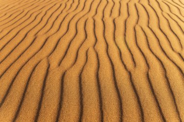 Altın gün batımında Rub al Khali 'de bir kumul manzarası ya da Boş Bölge ve etrafta kimse yok..