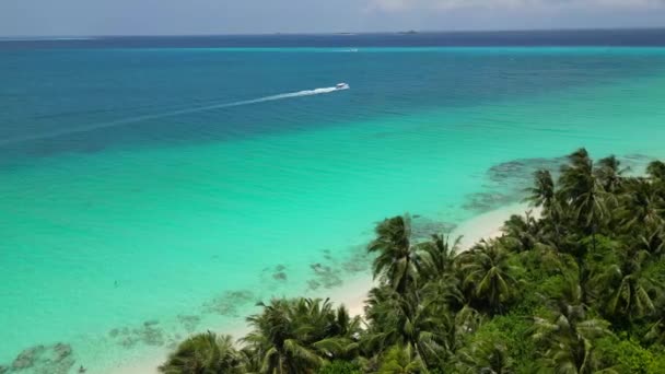 Εκπληκτική Μπλε Ωκεανός Και Αμμώδη Λευκό Νησί Μαλδίβες Κορυφή Drone — Αρχείο Βίντεο