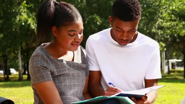 Amigos Afroamericanos Compartiendo Conocimientos Campus Universitario Día Soleado Aire Libre — Vídeo de stock