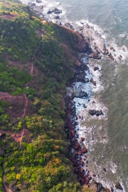 Goa 'da güneş ışığı altında yeşil palmiye ağaçlarıyla tropikal plajda hava manzarası.
