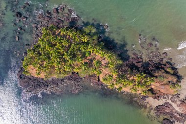 Goa 'da güneş ışığı altında yeşil palmiye ağaçlarıyla tropikal plajda hava manzarası.