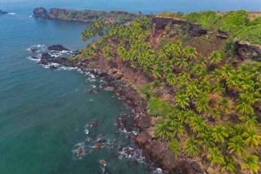 Goa 'da güneş ışığı altında yeşil palmiye ağaçlarıyla tropikal plajda hava manzarası.
