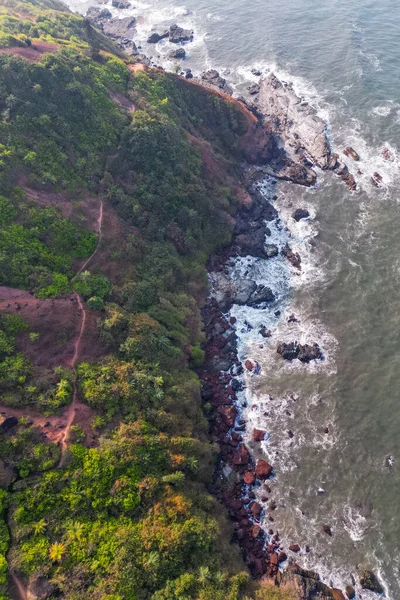 Goa 'da güneş ışığı altında yeşil palmiye ağaçlarıyla tropikal plajda hava manzarası.