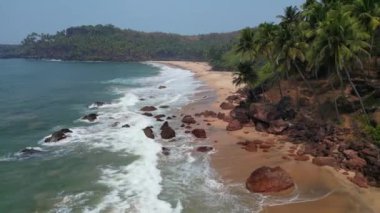 Güneş ışığı altında yeşil palmiye ağaçları olan tropikal sahilde hava manzaralı Drone manzaralı..