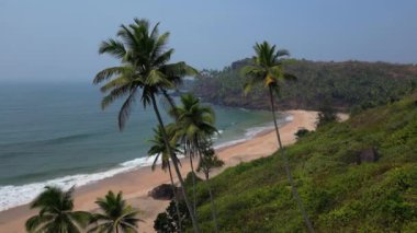Güneş ışığı altında yeşil palmiye ağaçları olan tropikal sahilde hava manzaralı Drone manzaralı..