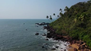 Güneş ışığı altında yeşil palmiye ağaçları olan tropikal sahilde hava manzaralı Drone manzaralı..