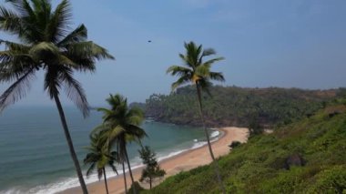 Güneş ışığı altında yeşil palmiye ağaçları olan tropikal sahilde hava manzaralı Drone manzaralı..