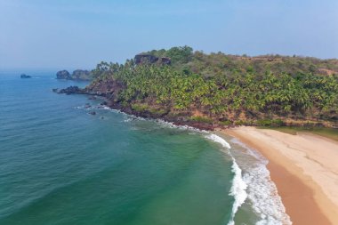 Goa 'da güneş ışığı altında yeşil palmiye ağaçlarıyla tropikal plajda hava manzarası.