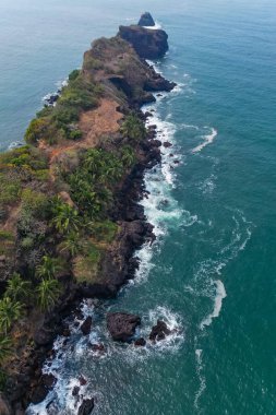Goa 'da güneş ışığı altında yeşil palmiye ağaçlarıyla tropikal plajda hava manzarası.