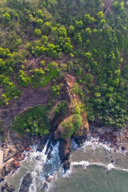 Goa 'da güneş ışığı altında yeşil palmiye ağaçlarıyla tropikal plajda hava manzarası.