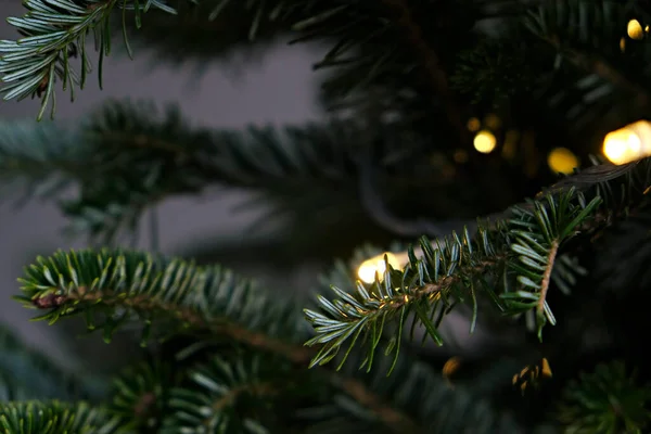 Foto Recortada Una Rama Árbol Navidad Decorada Con Luces Amarillas — Foto de Stock