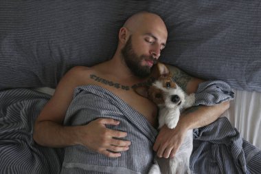 Tel saçlı Jack Russell Terrier ile yatakta uyuyan sakallı bir adamın portresi. Duygusal destek hayvan konsepti. Yetişkin erkek ve köpeği birlikte kestiriyorlar. Kapat, kopyala boşluk, arkaplan.