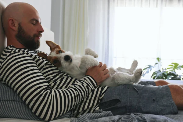 Portrait Bearded Man Lying Bed His Wire Haired Jack Russell — Stock Photo, Image