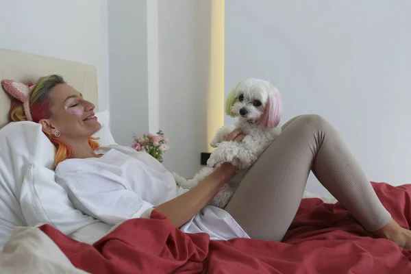 stock image Young woman with multicolored hair and her maltese dog lying on the bed. Dogs that look like their owners concept. Close up, copy space, background.