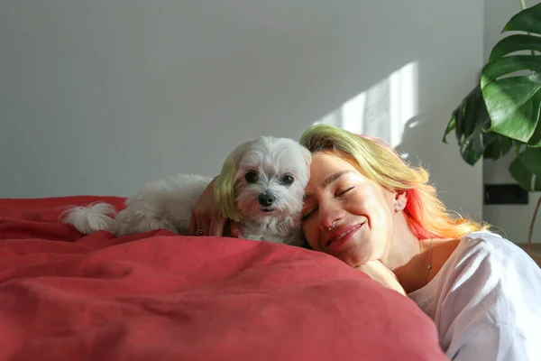 Çok Renkli Saçlı Genç Bir Kadın Yatakta Köpeğiyle Birlikte Sahiplerine — Stok fotoğraf