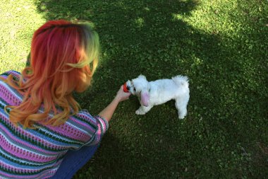 Hipster genç kadın parkta köpeğiyle yakalamaca oynuyor..