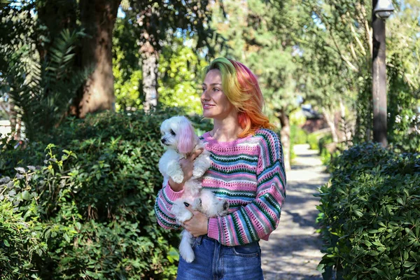 阳光灿烂的一天 身穿五颜六色针织毛衣的年轻女子和她的恶狗在公园里散步 有五颜六色头发的女性和有颜色匹配耳朵的小狗 复制空间 — 图库照片
