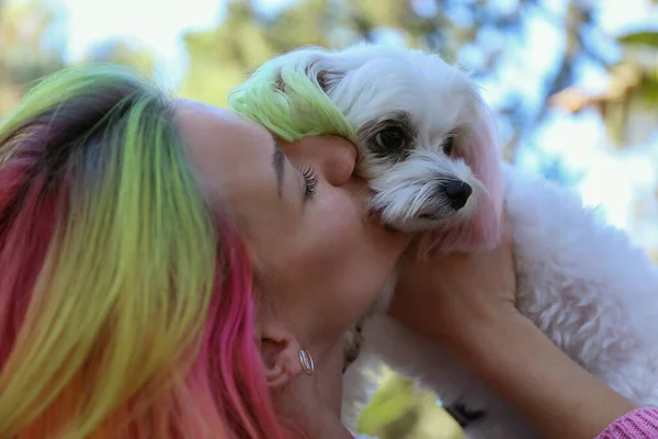 색깔의 머리를 사랑하는 개에게 키스하는 장면을 클로즈업으로 찍었습니다 새끼는 색깔이 — 스톡 사진