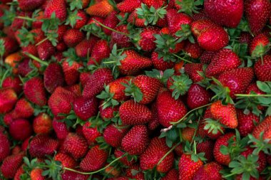 Olgun yerel çilek üretimini yakından çek. Çiftçi tezgahındaki kırmızı böğürtlen yığınını toplayın. Arkaplan, üst görünüm, metin için alanı kopyala. Temiz yeme kavramı.