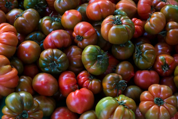 Concept Manger Propre Bouquet Tomates Juteuses Fraîchement Cueillies Fraîchement Cueillies — Photo