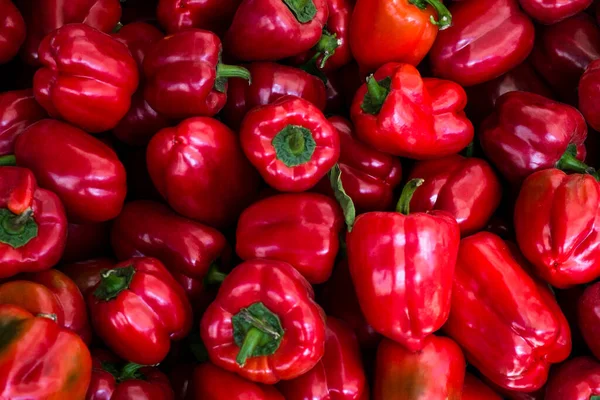 Pimientos Rojos Densos Nutrientes Recién Cosechados Puesto Mercado Del Agricultor — Foto de Stock