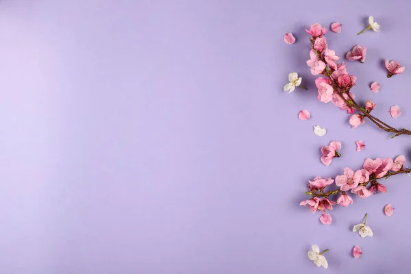 Blommande Gren Med Hel Del Rosa Blommor Rustik Sammansättning Med — Stockfoto