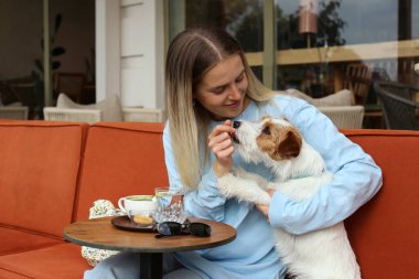 Genç bir kadın tel saçlı Jack Russell Terrier köpeğiyle sabah çayının tadını çıkarıyor. Kapat, kopyala boşluk, arkaplan.