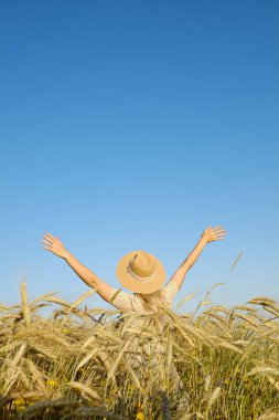 Buğday tarlasında kollarını kaldırmış kaygısız genç bir kadın, gün batımı ışığı. Arkaplan, kapat, boşluğu kopyala.