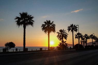 Gün batımında sakin plajda sakin palmiye siluetleri. Egzotik varış yerinin sahil manzarası. Altın saat güzelliği. Metin ve arkaplan için alanı kopyala. Altın saat güzelliği.