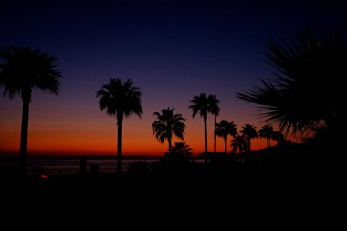 Gün batımında sakin plajda sakin palmiye siluetleri. Egzotik varış yerinin sahil manzarası. Altın saat güzelliği. Metin ve arkaplan için alanı kopyala. Altın saat güzelliği.