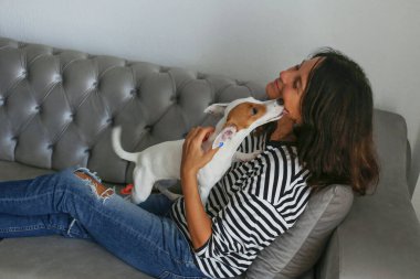 Güzel, esmer, orta yaşlı bir kadının sevimli Jack Russell Terrier köpeği ile oynadığı portre. Sevgi dolu sahibi ve komik görünüşlü köpeği eğleniyor. Arkaplan, kapat, boşluğu kopyala.