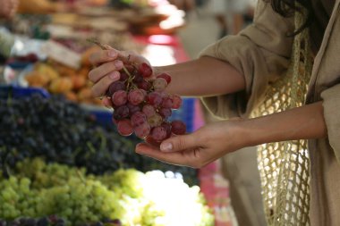 İp torbasıyla çiftçi pazarından taze üzüm toplayan genç bir kadının görüntüsü. Organik yerel meyve alışverişi. Kapat, kopyala boşluk, arkaplan.