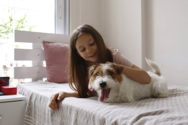 Evde tel saçlı Jack Russell Terrier köpeğiyle oynayan 6 yaşındaki bir kızın portresi. Kapat, kopyala boşluk, arkaplan.