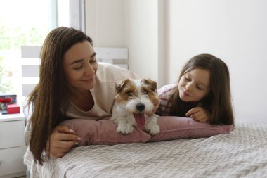 Yetişkin bir kadın kızıyla ve tel saçlı Jack Russell Terrier köpeğiyle güzel vakit geçiriyor. Kapat, kopyala boşluk, arkaplan.