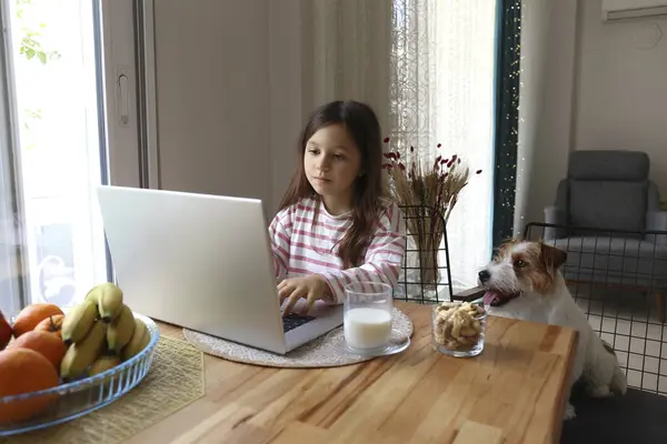 Little Girl Doing Homework Laptop Wire Haired Jack Russell Terrier Stok Gambar