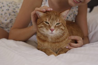 Genç bir kadın kurtarıcı kızıl kedisiyle yatakta oynuyor. Boşluk arkaplanı kopyala.