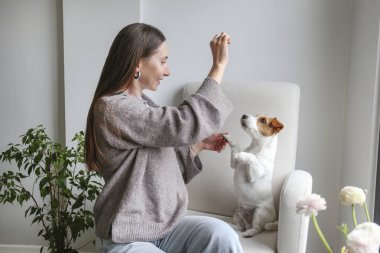 Genç bir kadın köpeğini evde eğitiyor. Boşluğu kopyala, arkaplan.