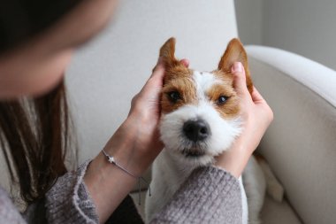 Evde köpeğiyle oynayan genç bir kadın. Boşluğu kopyala, arkaplan.