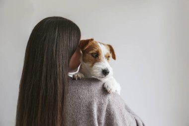 Elinde köpek tutan esmer bir kadının arka görüntüsü. Boşluk arkaplanı kopyala.