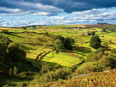 Vadinin karşısındaki muhteşem manzaralı Haworth bozkırı. Her iki tarafında kurumuş taş duvarlar olan eski bir patika vadi tabanına doğru iniyor..