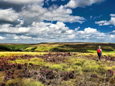 Midgley Moor, Batı Yorkshire 'da güzel mor fundaları ve berrak manzarası var. Parlak bir sonbahar öğleden sonrası ve manzara harika. Bir yürüyüşçü kameraya arkası dönükken manzaraya bakıyor..