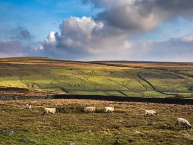 A view of the Yorkshire Dales National Park from one of the many hills