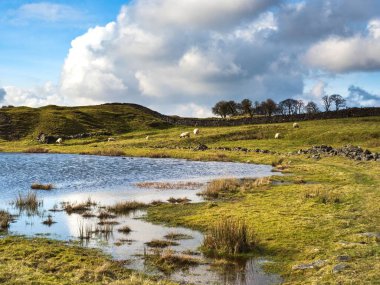 A small reservoir nestled away in a remote location on Grassington moor in Yorkshire